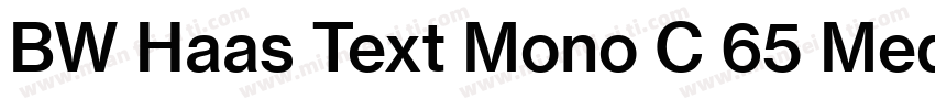 BW Haas Text Mono C 65 Medium字体转换